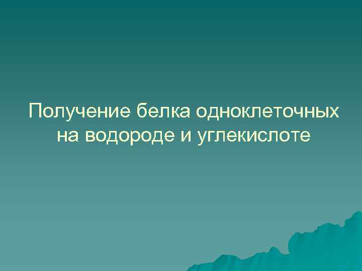 Получение белка одноклеточных на водороде и углекислоте 