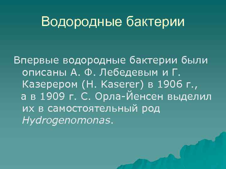 Водородные бактерии Впервые водородные бактерии были описаны А. Ф. Лебедевым и Г. Казерером (Н.