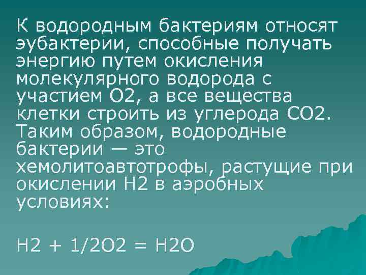 К водородным бактериям относят эубактерии, способные получать энергию путем окисления молекулярного водорода с участием
