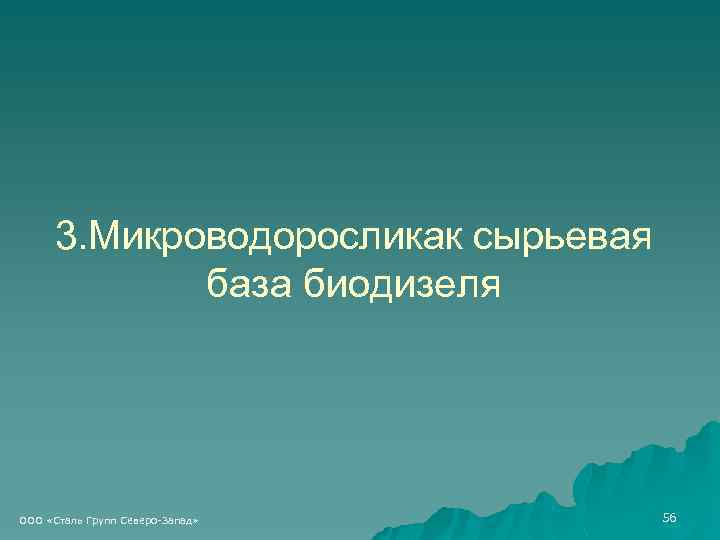 3. Микроводоросликак сырьевая база биодизеля ООО «Сталь Групп Северо-Запад» 56 