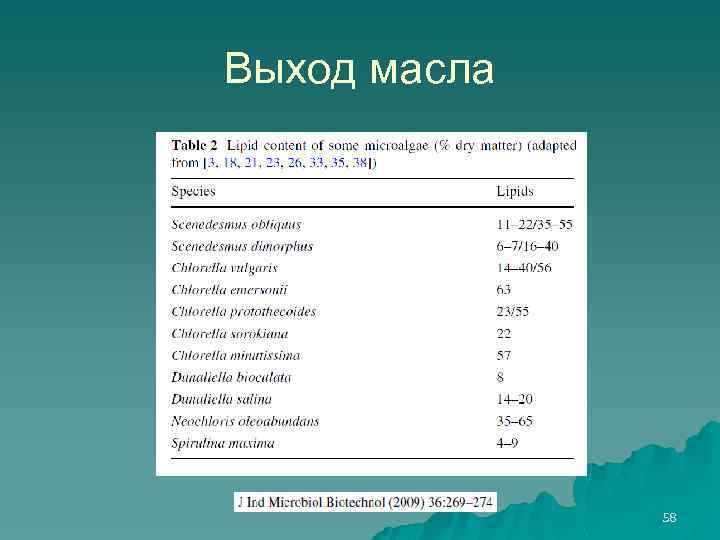 Выход масла 58 