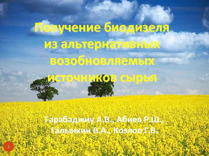 Получение биодизеля из альтернативных возобновляемых источников сырья Гарабаджиу А. В. , Абиев Р. Ш.