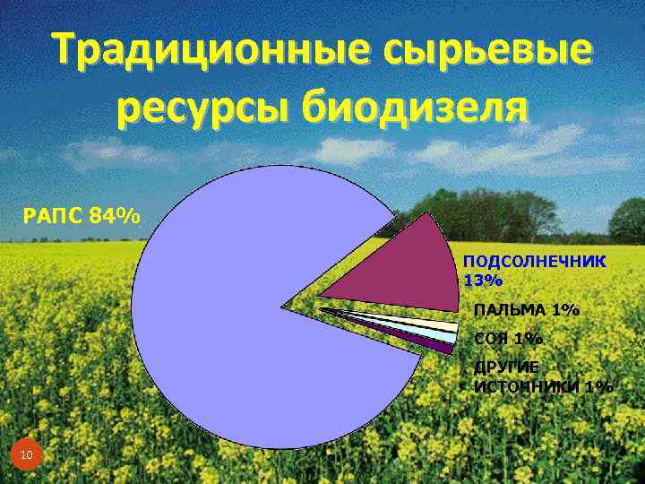 Традиционные сырьевые ресурсы биодизеля РАПС 84% ПОДСОЛНЕЧНИК 13% ПАЛЬМА 1% СОЯ 1% ДРУГИЕ ИСТОЧНИКИ