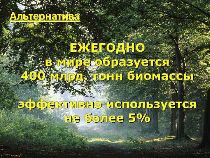 Альтернатива ЕЖЕГОДНО в мире образуется 400 млрд. тонн биомассы эффективно используется не более 5%