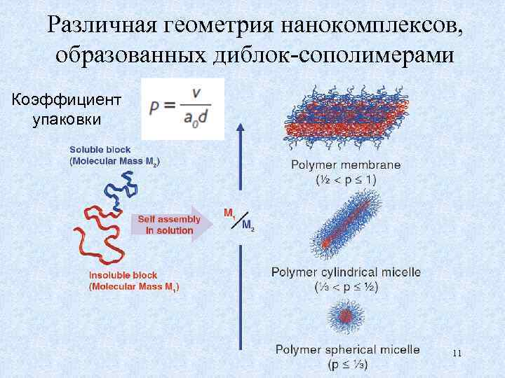 Различная геометрия нанокомплексов, образованных диблок-сополимерами Коэффициент упаковки 11 