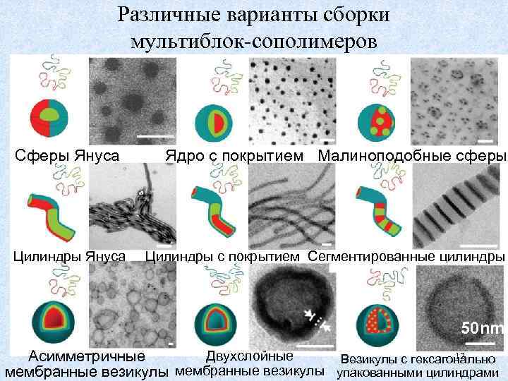 Различные варианты сборки мультиблок-сополимеров Сферы Януса Цилиндры Януса Ядро с покрытием Малиноподобные сферы Цилиндры
