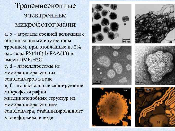 Трансмиссионные электронные микрофотографии a, b – агрегаты средней величины с обычным полым внутренним троением,