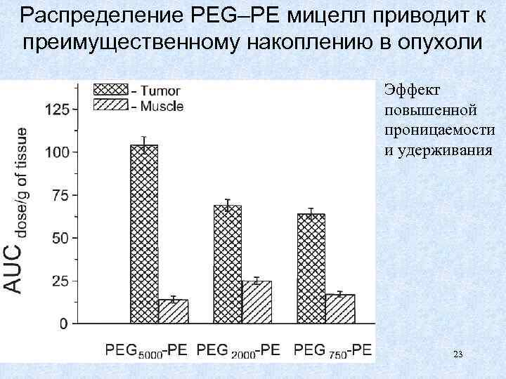 Распределение PEG–PE мицелл приводит к преимущественному накоплению в опухоли Эффект повышенной проницаемости и удерживания