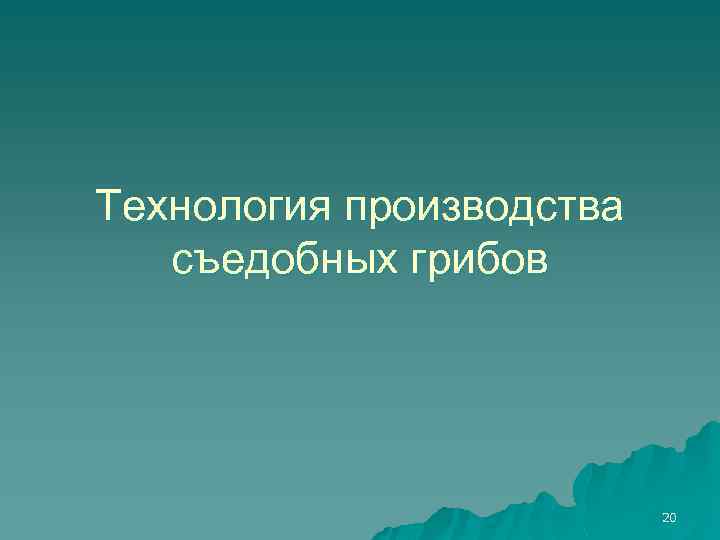 Технология производства съедобных грибов 20 