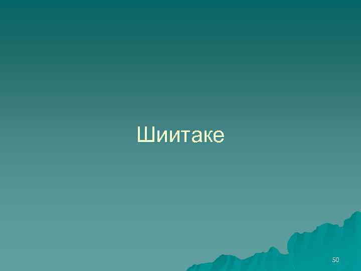 Шиитаке 50 