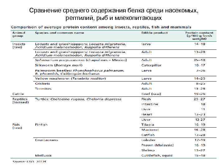 Сравнение среднего содержания белка среди насекомых, рептилий, рыб и млекопитающих 