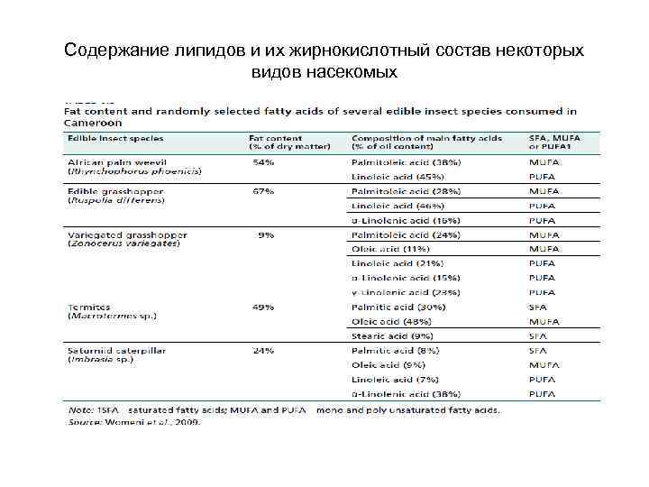 Содержание липидов и их жирнокислотный состав некоторых видов насекомых 