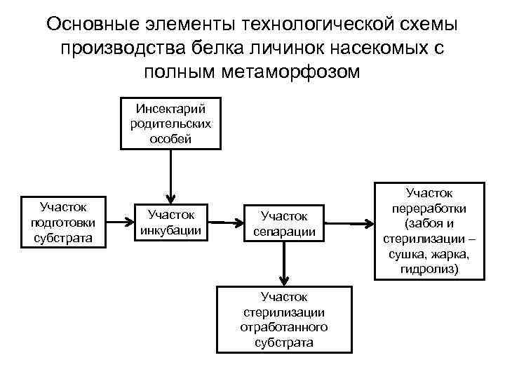 Основные элементы технологической схемы производства белка личинок насекомых с полным метаморфозом Инсектарий родительских особей