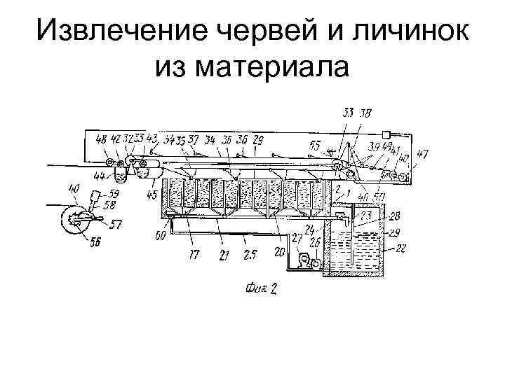 Извлечение червей и личинок из материала 