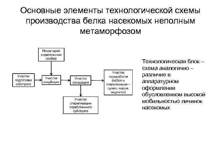 Основные элементы технологической схемы производства белка насекомых неполным метаморфозом Технологическая блок – схема аналогично