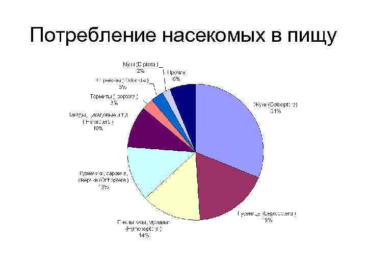 Потребление насекомых в пищу 