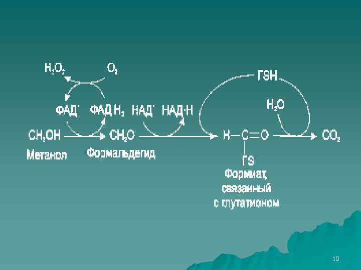 Получение белков