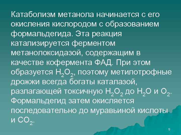  Катаболизм метанола начинается с его окисления кислородом с образованием формальдегида. Эта реакция катализируется