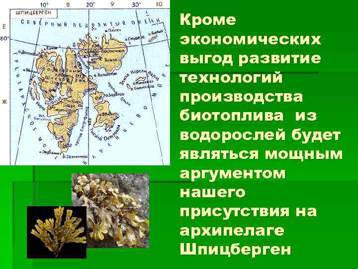 Кроме экономических выгод развитие технологий производства биотоплива из водорослей будет являться мощным аргументом нашего