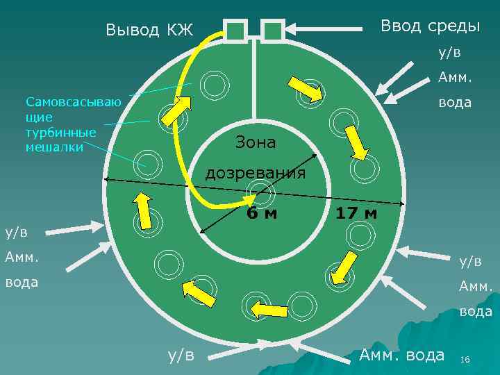 Ввод среды Вывод КЖ у/в Амм. вода Самовсасываю щие турбинные мешалки Зона дозревания 6