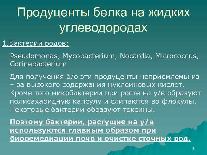 Продуценты белка на жидких углеводородах 1. Бактерии родов: Pseudomonas, Mycobacterium, Nocardia, Micrococcus, Corinebacterium Для