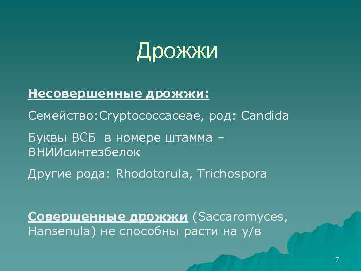 Дрожжи Несовершенные дрожжи: Семейство: Cryptococcaceae, род: Candida Буквы ВСБ в номере штамма – ВНИИсинтезбелок