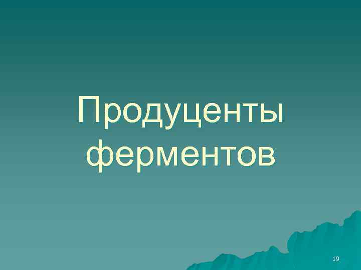 Продуценты ферментов 19 