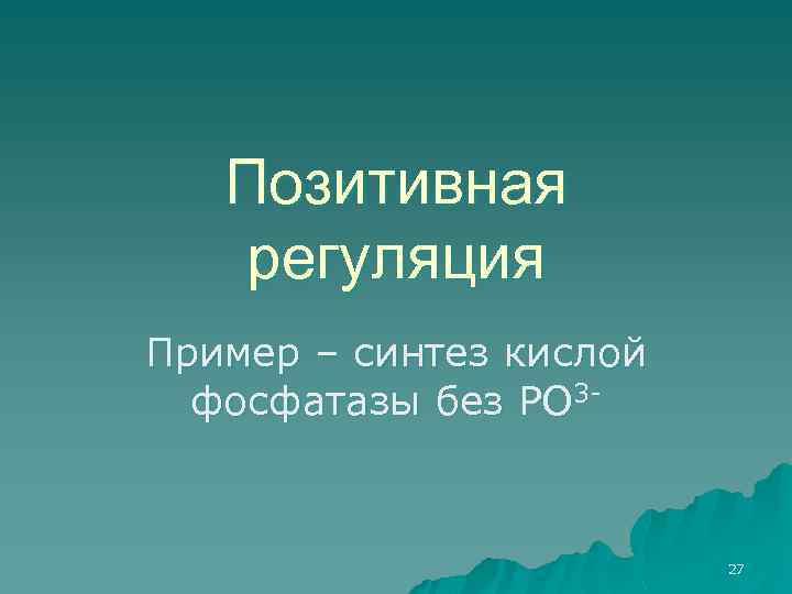 Позитивная регуляция Пример – синтез кислой фосфатазы без РО 3 - 27 