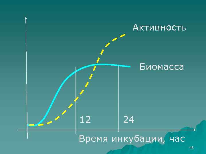 Активность Биомасса 12 24 Время инкубации, час 48 