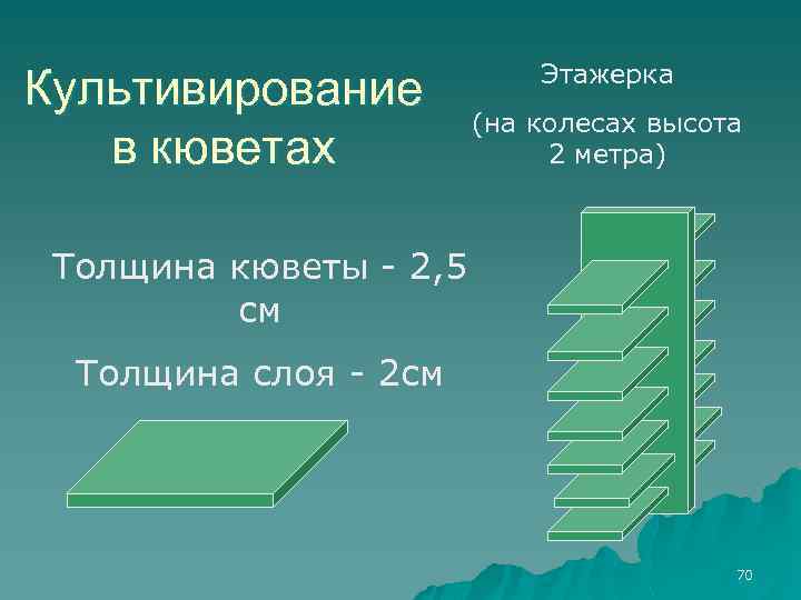 Культивирование в кюветах Этажерка (на колесах высота 2 метра) Толщина кюветы - 2, 5