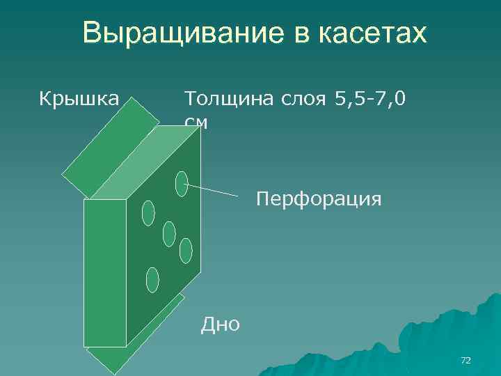 Выращивание в касетах Крышка Толщина слоя 5, 5 -7, 0 см Перфорация Дно 72