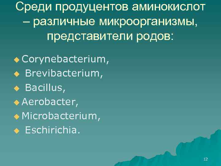 Среди продуцентов аминокислот – различные микроорганизмы, представители родов: u Corynebacterium, Brevibacterium, u Bacillus, u