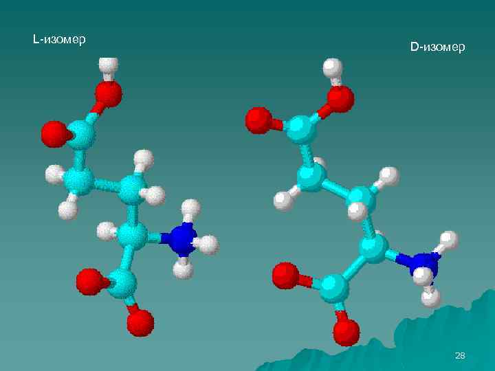 L-изомер D-изомер 28 