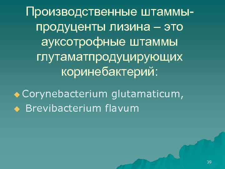 Производственные штаммыпродуценты лизина – это ауксотрофные штаммы глутаматпродуцирующих коринебактерий: u Corynebacterium u glutamaticum, Brevibacterium