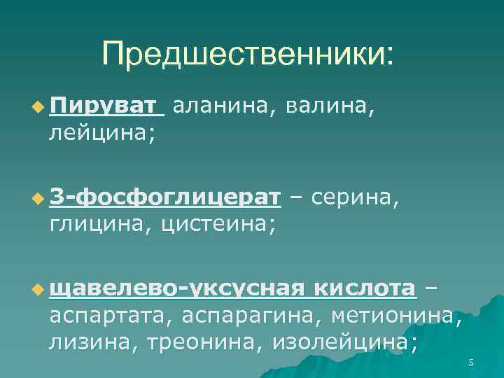 Предшественники: u Пируват лейцина; аланина, валина, u 3 -фосфоглицерат глицина, цистеина; – серина, u
