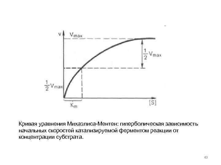 Кривая уравнения Михаэлиса-Ментен: гиперболическая зависимость начальных скоростей катализируемой ферментом реакции от концентрации субстрата. 43