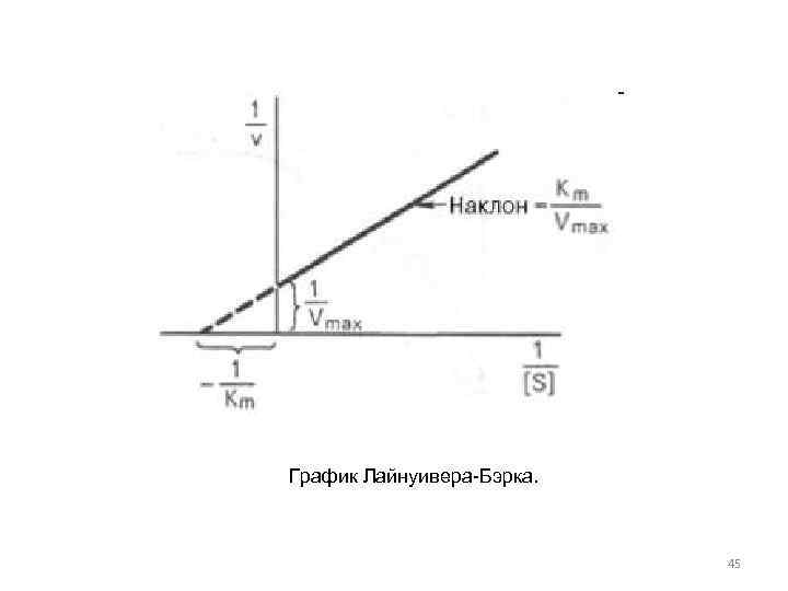 График Лайнуивера-Бэрка. 45 