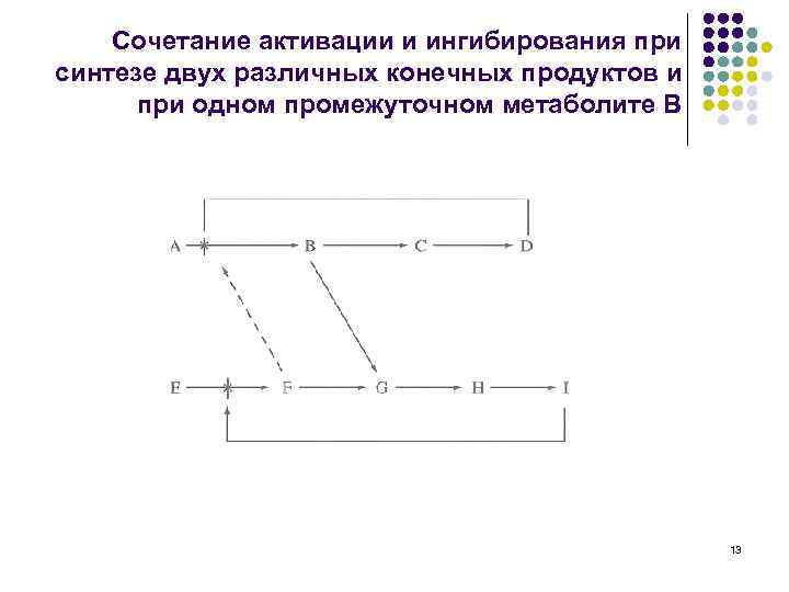 Сочетание активации и ингибирования при синтезе двух различных конечных продуктов и при одном промежуточном