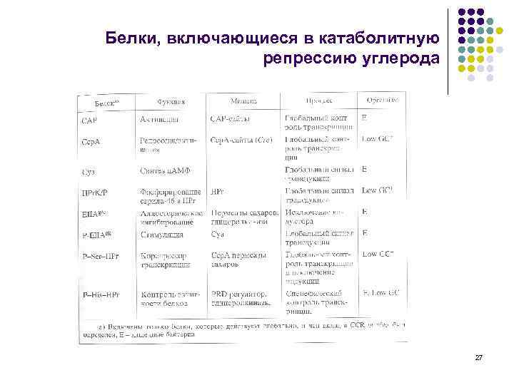 Белки, включающиеся в катаболитную репрессию углерода 27 