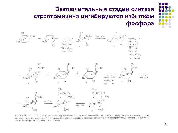 Фазы синтеза