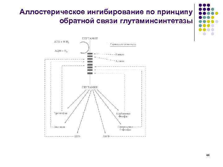 Аллостерическое ингибирование по принципу обратной связи глутаминсинтетазы 44 