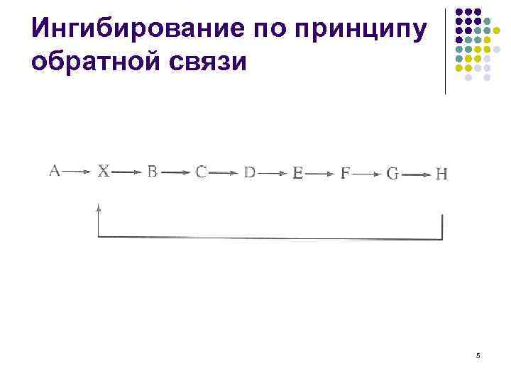 Ингибирование по принципу обратной связи 5 