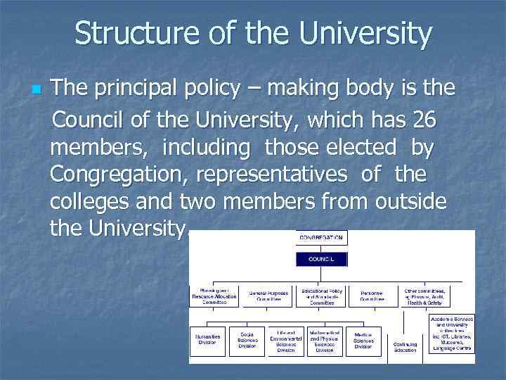 Structure of the University n The principal policy – making body is the Council