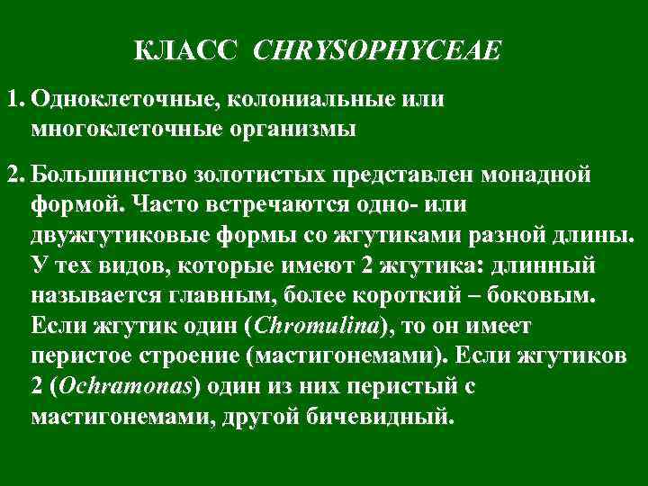 КЛАСС CHRYSOPHYCEAE 1. Одноклеточные, колониальные или многоклеточные организмы 2. Большинство золотистых представлен монадной формой.