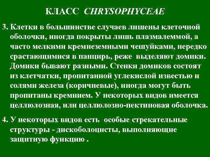 КЛАСС CHRYSOPHYCEAE 3. Клетки в большинстве случаев лишены клеточной оболочки, иногда покрыты лишь плазмалеммой,