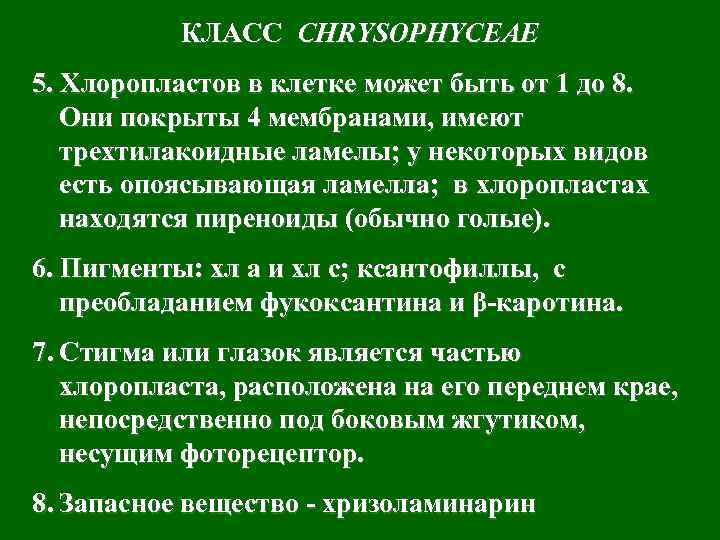 КЛАСС CHRYSOPHYCEAE 5. Хлоропластов в клетке может быть от 1 до 8. Они покрыты