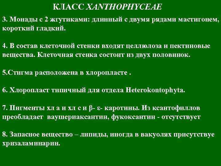 КЛАСС XANTHOPHYCEAE 3. Монады с 2 жгутиками: длинный с двумя рядами мастигонем, короткий гладкий.