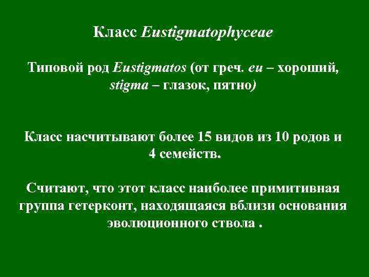 Класс Eustigmatophyceae Типовой род Eustigmatos (от греч. eu – хороший, stigma – глазок, пятно)