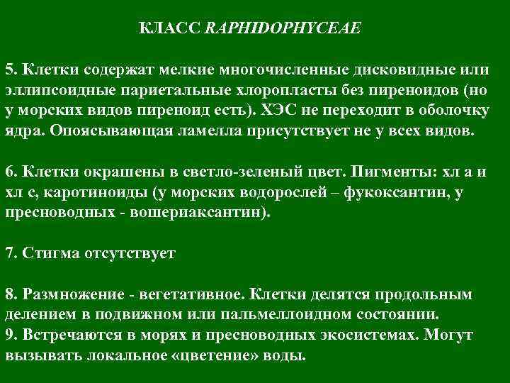 КЛАСС RAPHIDOPHYCEAE 5. Клетки содержат мелкие многочисленные дисковидные или эллипсоидные париетальные хлоропласты без пиреноидов