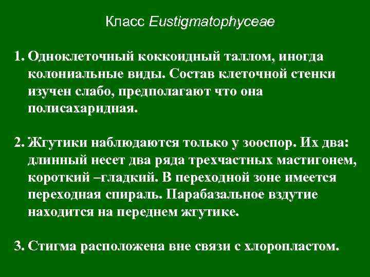 Класс Eustigmatophyceae 1. Одноклеточный коккоидный таллом, иногда колониальные виды. Состав клеточной стенки изучен слабо,